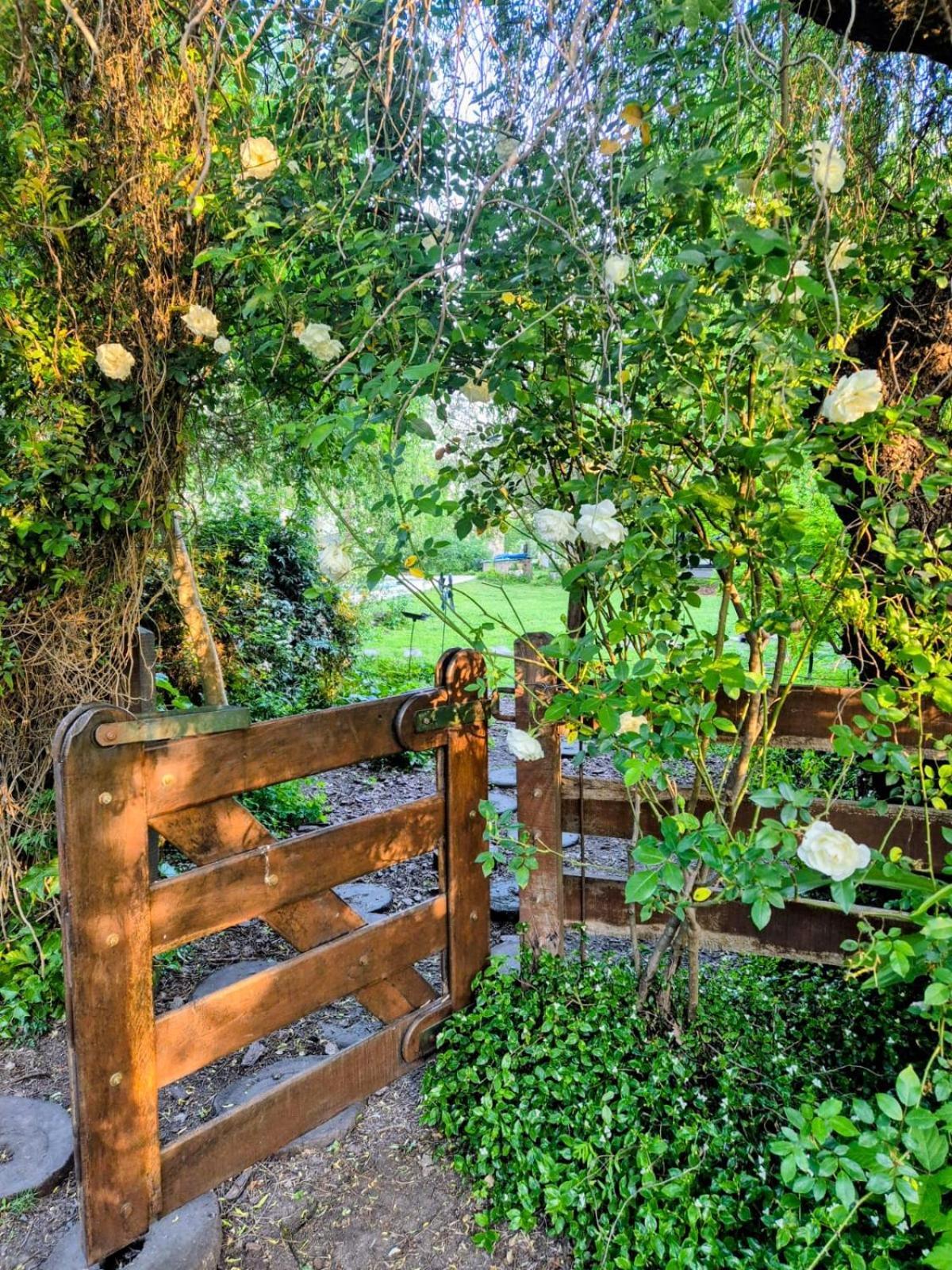 La Ignacia Bed And Breakfast Pilar  Buitenkant foto